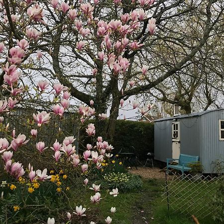 The Wayside Shepherd Hut Бюли Екстериор снимка