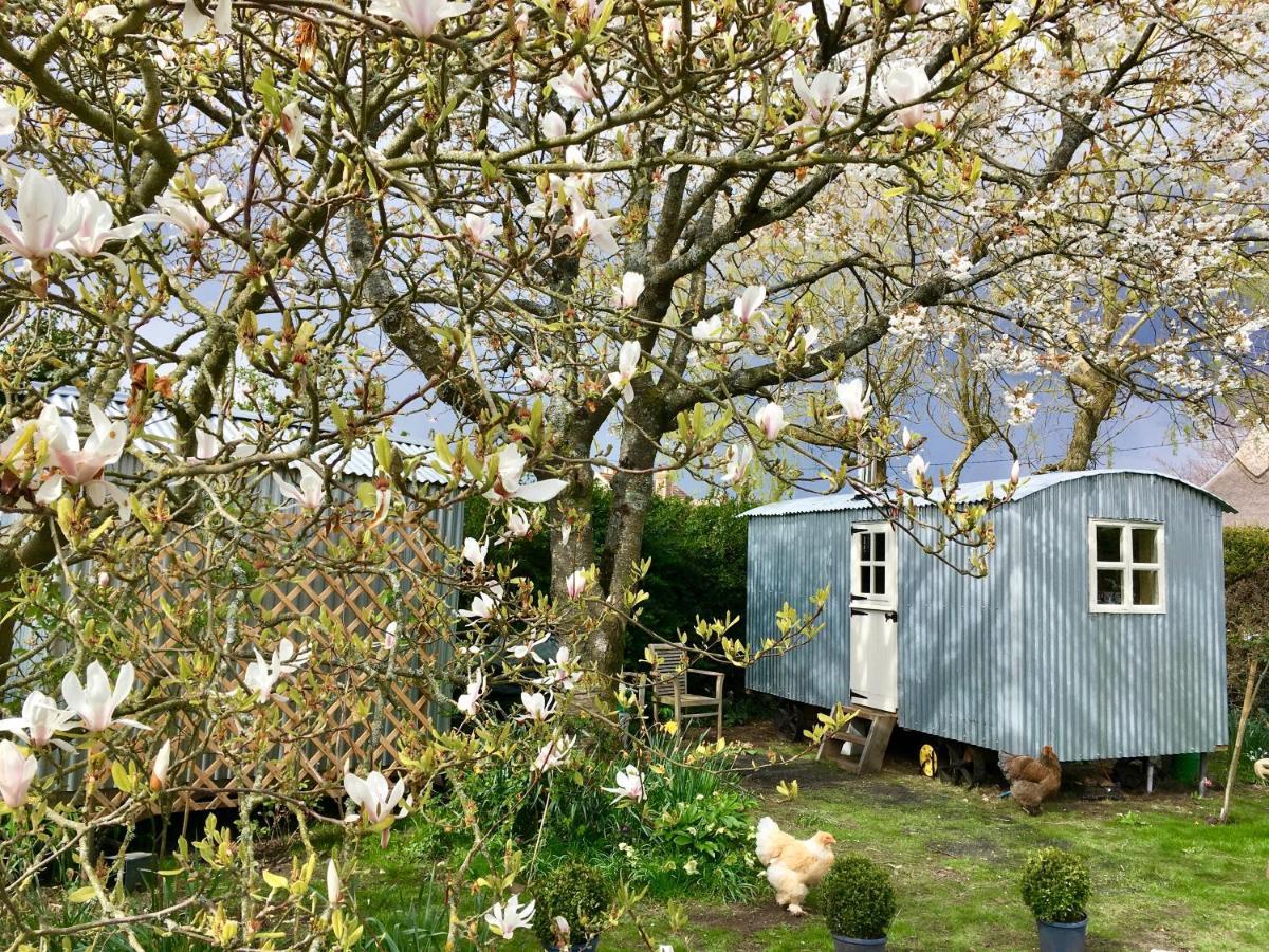 The Wayside Shepherd Hut Бюли Екстериор снимка