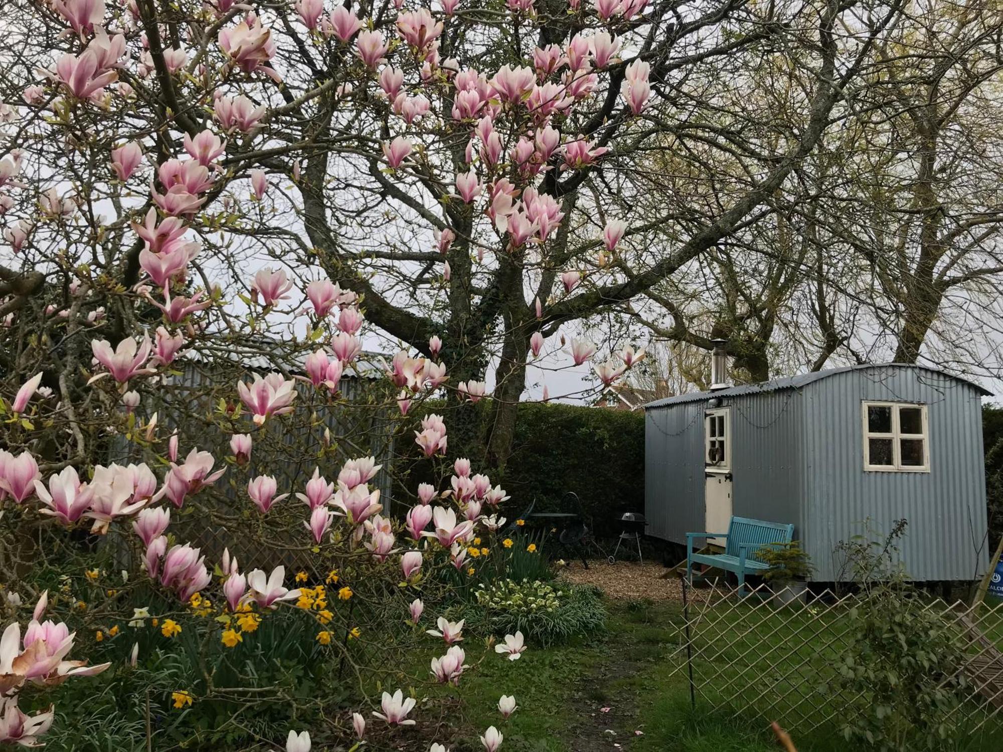The Wayside Shepherd Hut Бюли Екстериор снимка